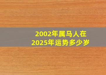 2002年属马人在2025年运势多少岁