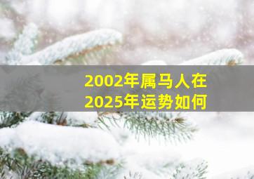 2002年属马人在2025年运势如何