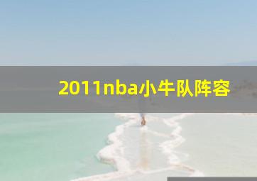 2011nba小牛队阵容