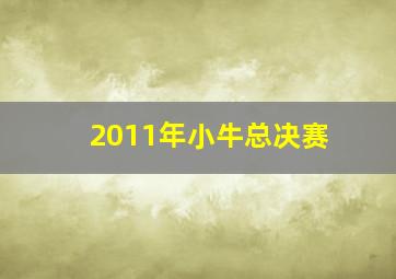 2011年小牛总决赛