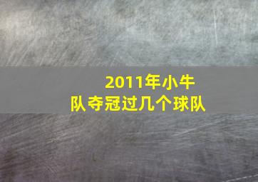 2011年小牛队夺冠过几个球队