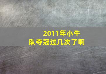 2011年小牛队夺冠过几次了啊