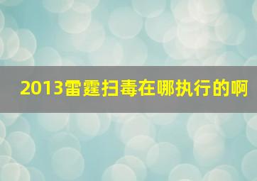 2013雷霆扫毒在哪执行的啊