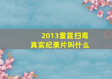 2013雷霆扫毒真实纪录片叫什么