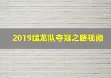 2019猛龙队夺冠之路视频