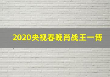 2020央视春晚肖战王一博