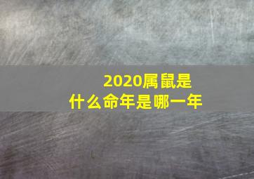 2020属鼠是什么命年是哪一年