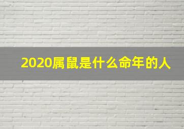 2020属鼠是什么命年的人