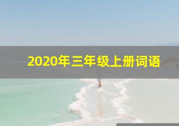 2020年三年级上册词语