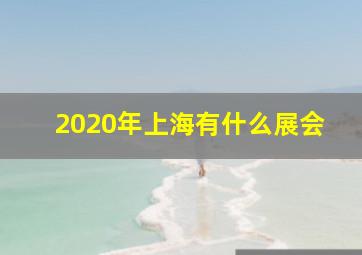 2020年上海有什么展会