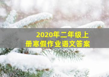 2020年二年级上册寒假作业语文答案