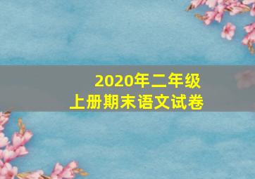 2020年二年级上册期末语文试卷