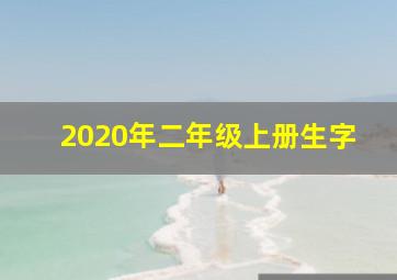 2020年二年级上册生字