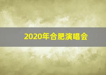 2020年合肥演唱会