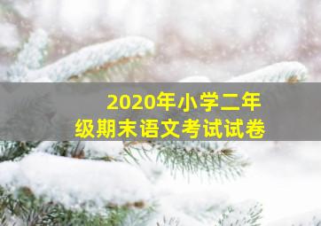 2020年小学二年级期末语文考试试卷