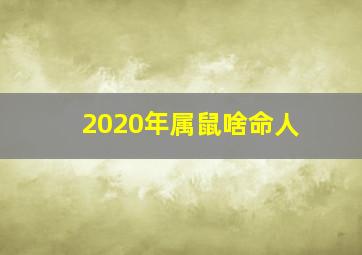 2020年属鼠啥命人