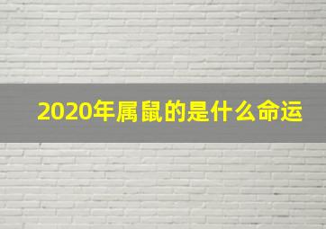 2020年属鼠的是什么命运