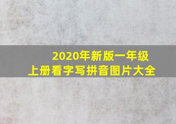 2020年新版一年级上册看字写拼音图片大全