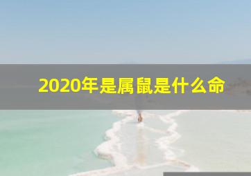 2020年是属鼠是什么命