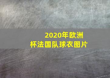 2020年欧洲杯法国队球衣图片