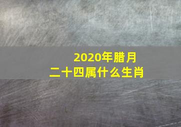 2020年腊月二十四属什么生肖