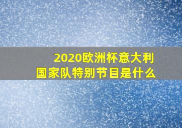 2020欧洲杯意大利国家队特别节目是什么