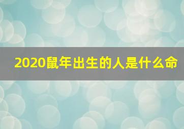 2020鼠年出生的人是什么命