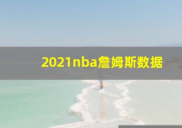 2021nba詹姆斯数据