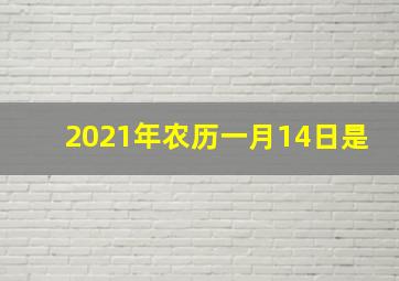 2021年农历一月14日是