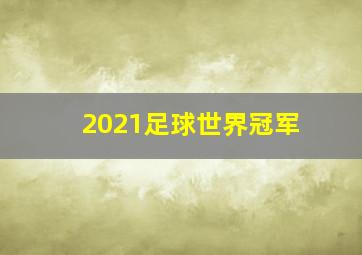 2021足球世界冠军