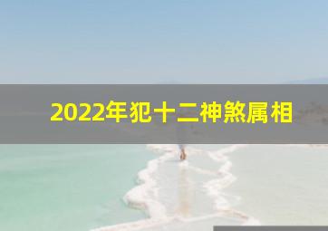 2022年犯十二神煞属相