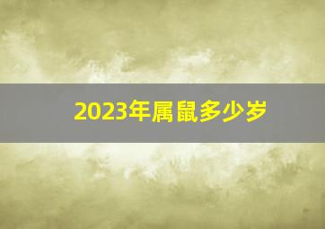 2023年属鼠多少岁