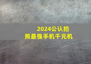 2024公认拍照最强手机千元机