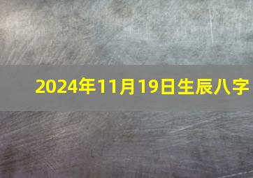 2024年11月19日生辰八字