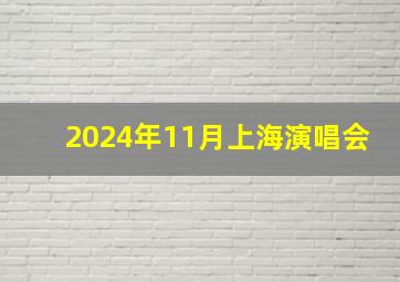 2024年11月上海演唱会