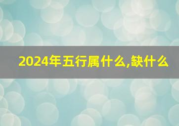 2024年五行属什么,缺什么