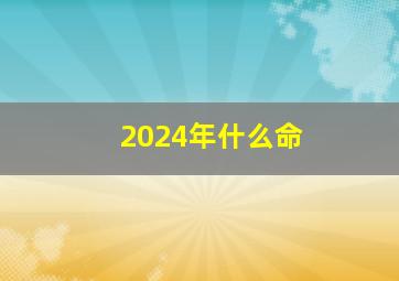 2024年什么命