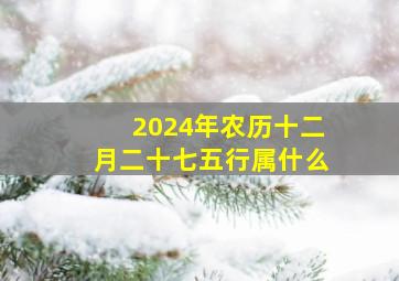 2024年农历十二月二十七五行属什么