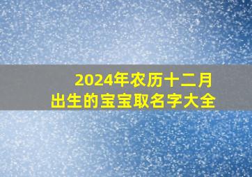 2024年农历十二月出生的宝宝取名字大全