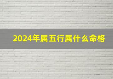 2024年属五行属什么命格