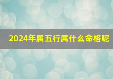 2024年属五行属什么命格呢