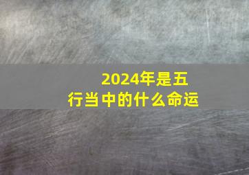 2024年是五行当中的什么命运