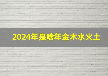 2024年是啥年金木水火土