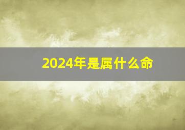 2024年是属什么命