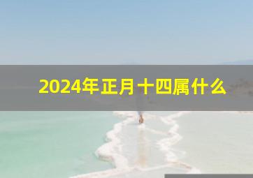 2024年正月十四属什么