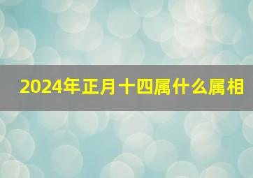 2024年正月十四属什么属相