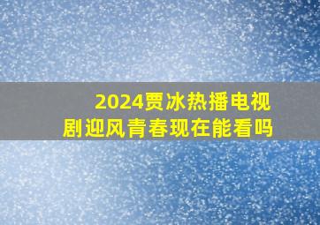 2024贾冰热播电视剧迎风青春现在能看吗