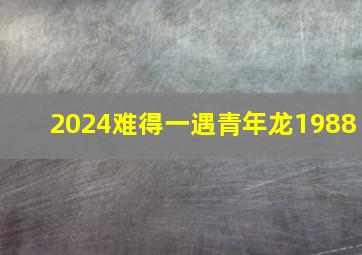 2024难得一遇青年龙1988