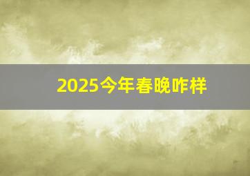 2025今年春晚咋样