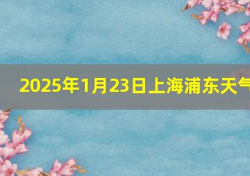 2025年1月23日上海浦东天气